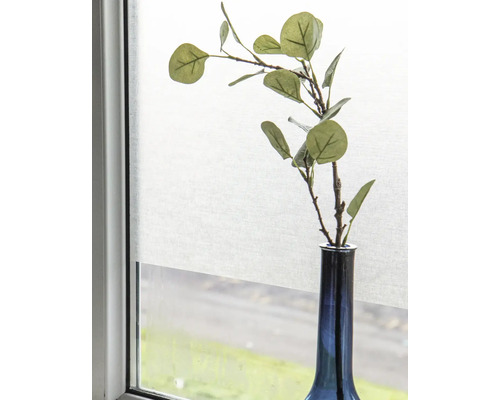 Branches décoratives dans un vase devant une fenêtre avec store enrouleur