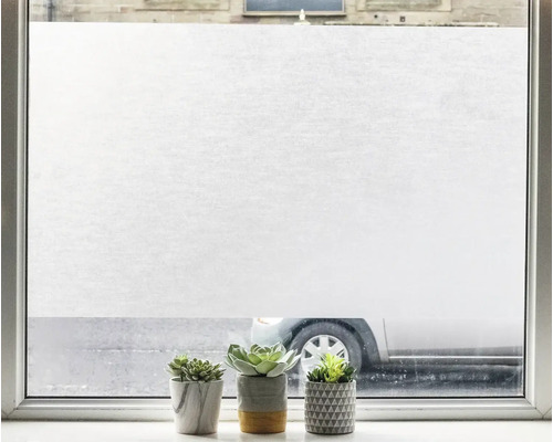 Fenêtre avec film de verre dépoli et plantes d''intérieur sur le rebord de la fenêtre