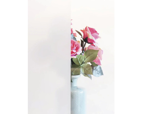Vue à travers le verre dépoli sur les roses dans un vase