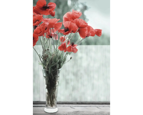 Bouquet de coquelicots dans un vase en verre