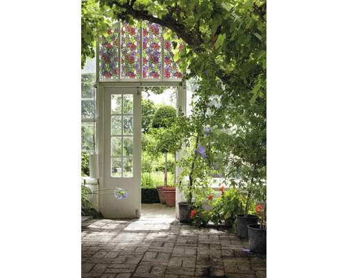 Scène avec serre, plantes et film décoratif pour fenêtre à motif floral