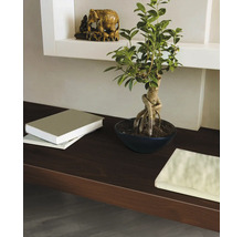 d-c-fix® Klebefolie Holzdekor Apfelbirke schoko 90x210 cm
