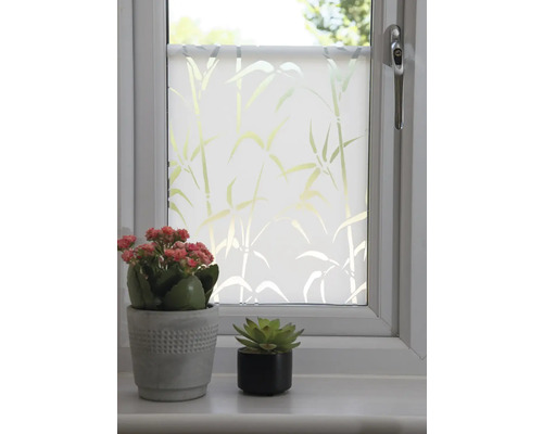 Fenêtre décorée avec un film de protection visuelle et un motif de bambou, ainsi que deux petites plantes en pot sur le rebord de la fenêtre.