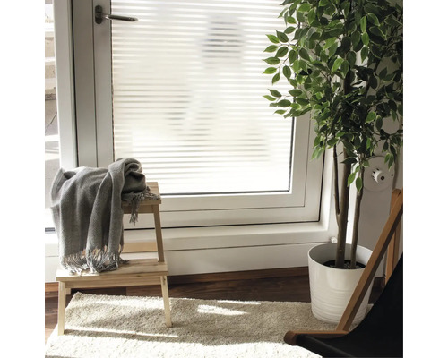 Scène avec film de fenêtre à rayures, tabouret, couverture et plante d''intérieur