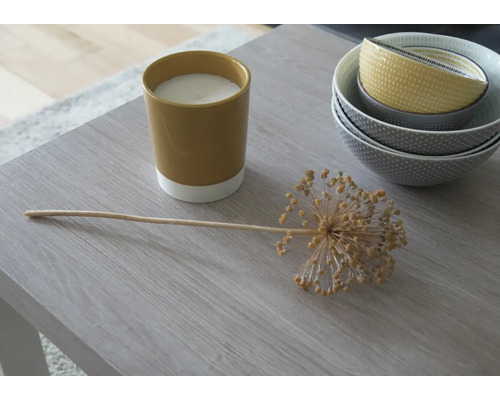 Arrangement décoratif avec bougie, bol décoratif et ail d''ornement sur une table