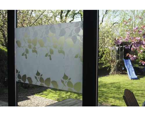 Film pour fenêtre avec motif de feuilles sur la fenêtre