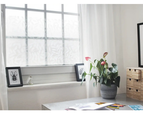 Scène avec film pour fenêtre à motif de feuilles, anthurium et bureau.