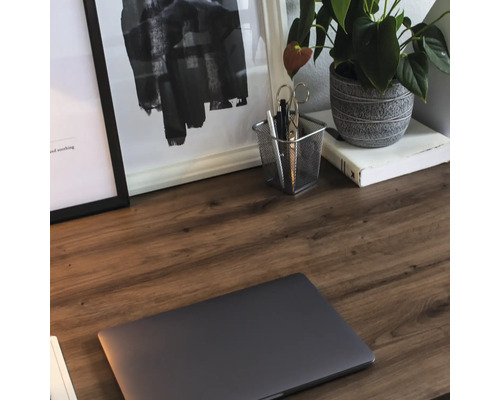 Detailansicht eines Schreibtisches mit einem Laptop, Büroutensilien, Zimmerpflanze und gerahmten Bildern.