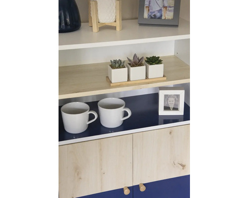 Étagère avec des objets de décoration tels que des tasses, des plantes grasses et des cadres photo