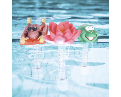 Thermomètre de piscine en forme de singe, de lotus et de grenouille