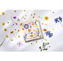 Presse à fleurs avec motif floral et fleurs séchées