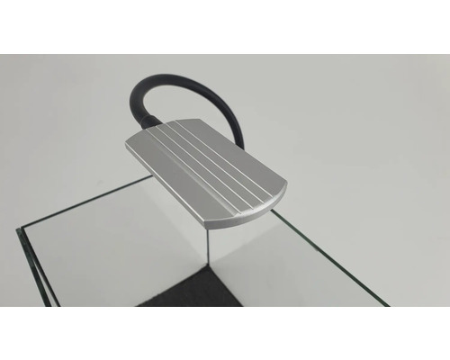 Aquariumlampe mit flexiblem Arm über einem Glasaquarium