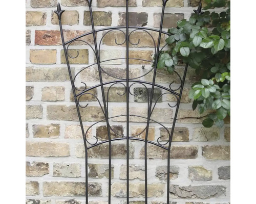 Metall-Rankhilfe vor einer Ziegelwand