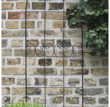 Metall-Rankhilfe zur Unterstützung von Kletterpflanzen vor einer Ziegelwand