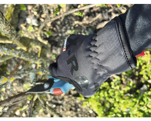 Eine Person schneidet mit einer Gartenschere einen Ast, während sie Gartenhandschuhe trägt.