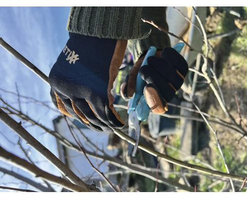 Sécateur coupant des branches avec des gants de jardinage