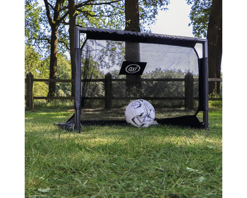 Fussballtor mit Fussball auf einer Wiese