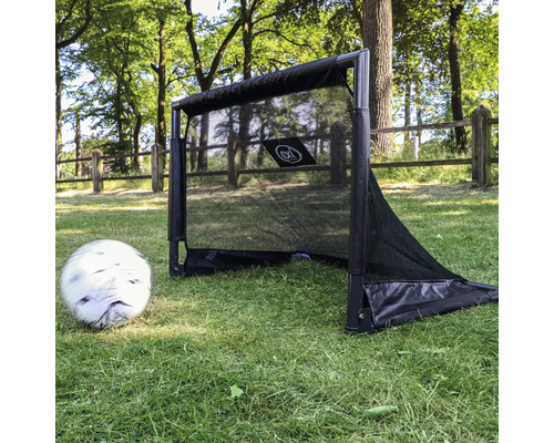 Fußballtor mit Netz und Ball auf einer Rasenfläche