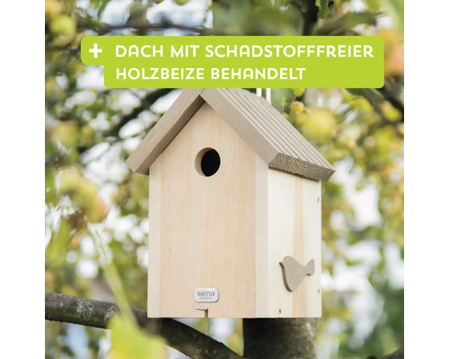 Vogelhaus aus Holz mit rundem Eingangsloch und kleinem Vogelmotiv