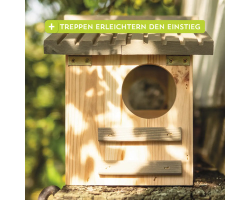 Vogelhaus aus Holz mit kleinem Treppenaufgang