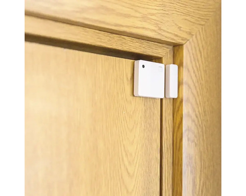 Porte avec contact de porte et de fenêtre monté