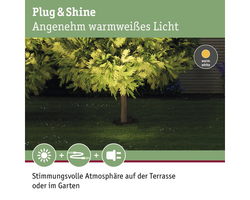 Plug and Shine Gartenleuchte mit warmweissem Licht beleuchtet einen Baum auf einer Rasenfläche.