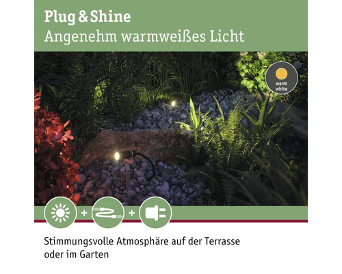 Aménagement paysager avec luminaires Plug and Shine pour un éclairage d''ambiance dans le jardin