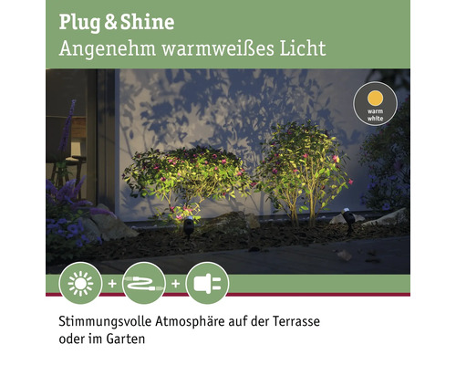 Plug and Shine, éclairage de jardin avec lumière blanche chaude illuminant les plantes