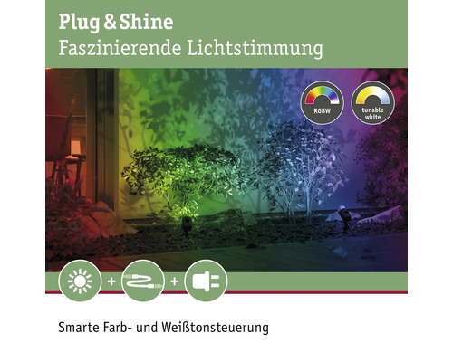 Éclairage de jardin Plug and Shine avec contrôle des couleurs et des blancs