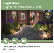 Borne lumineuse Paulmann Plug & Shine LED avec piquet de terre IP44 2,0W 3000 K blanc chaud HxØ 220x80 mmClassic anthracite 230/24 V-thumb-3