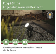 Spot LED Paulmann Plug & Shine avec piquet de terre spot individuel IP44 3W 150 lm 3000 K blanc chaud hxØ 260x42 mm noir 24 V-thumb-6