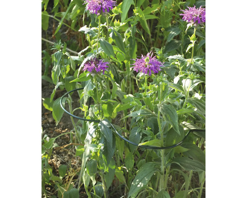 Anneau de support de fleurs en métal utilisé dans un parterre de jardin