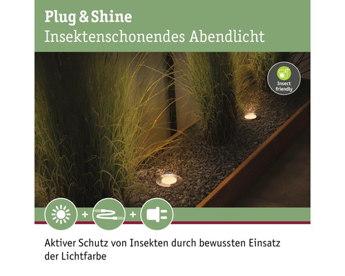 Scène de jardin illuminée avec spots encastrés au sol et graminées ornementales