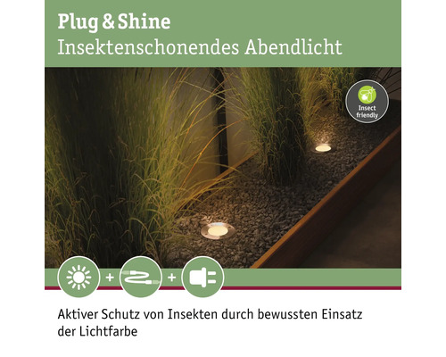 Scène avec éclairage de jardin pour le respect des insectes le soir
