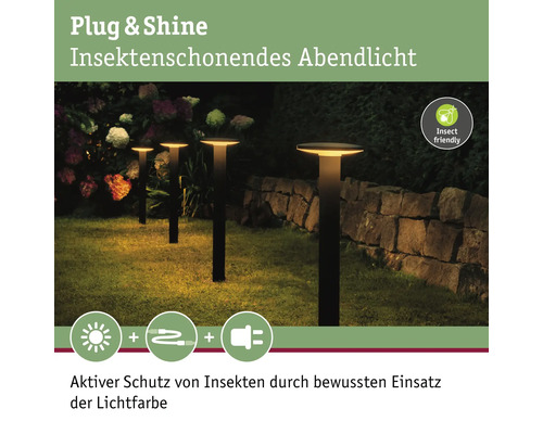 Éclairage extérieur avec protection contre les insectes pour l''éclairage du soir