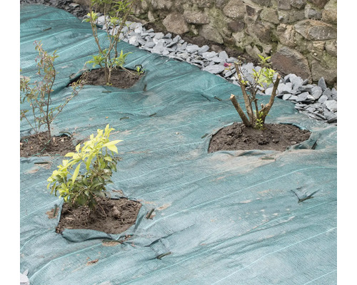 Jardin avec toile de paillage et plantes nouvellement plantées