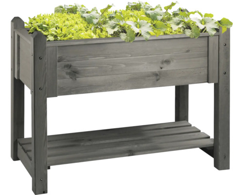 Jardinière surélevée en bois avec étagère et plantation de salades