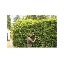 Une personne coupe une haie avec un taille-haie dans le jardin.