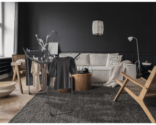 Salon avec étendoir à linge, canapé et tapis