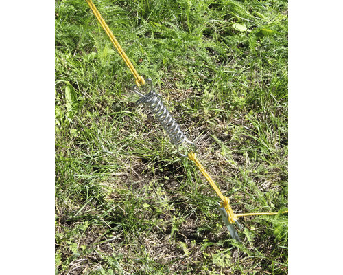 Ressort de tente avec sardine et hauban dans l''herbe