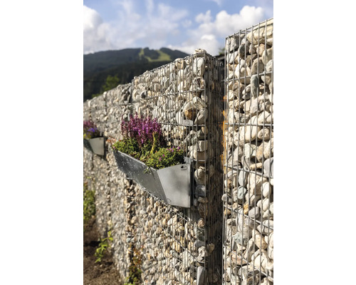 Gabionenwand mit bepflanztem Blumenkasten im Garten