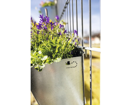 Metall-Blumenkasten zur Anbringung an einem Zaun mit blühenden Glockenblumen