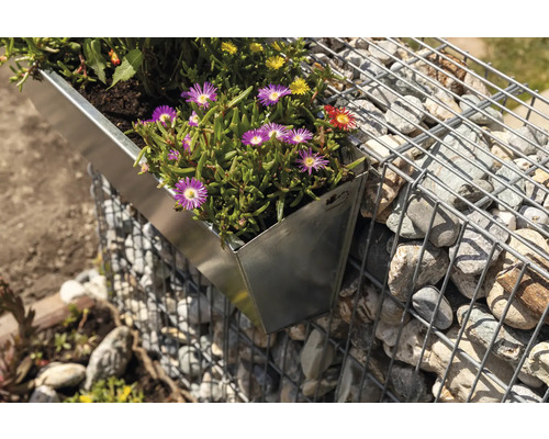 Gabionenwand mit bepflanzter Pflanzschale aus Metall