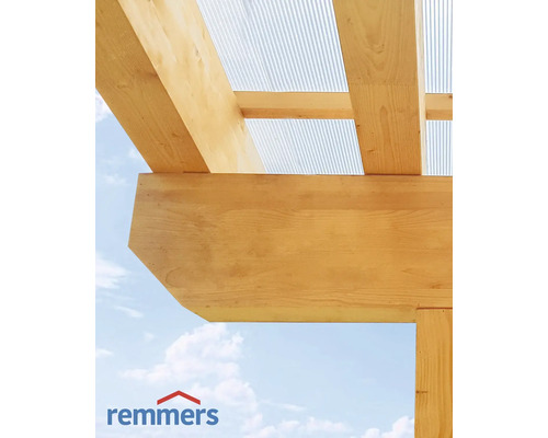 Construction en bois avec toiture translucide