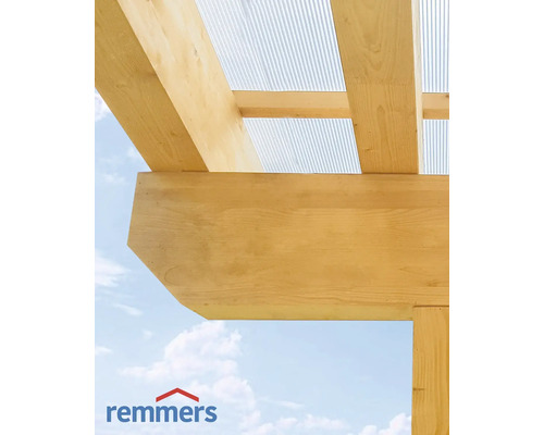 Vue détaillée d''un abri en bois avec plaques de toit transparentes et le logo Remmers