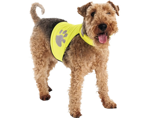 Hund mit Sicherheitsweste mit Pfotenabdruck