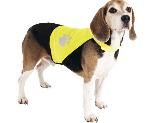 Chien avec gilet de sécurité avec empreinte de patte