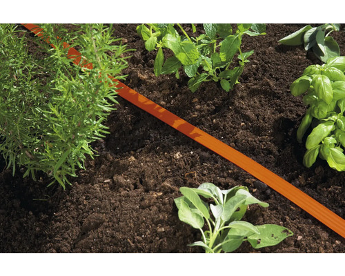 Nahaufnahme eines Gartens mit Kräutern und einem Bewässerungsschlauch