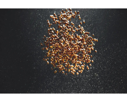 Aquariumsamen für Fische