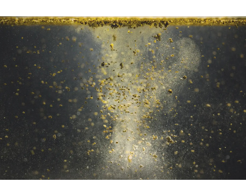 Nahaufnahme von Düngerpartikeln, die in Wasser suspendiert sind